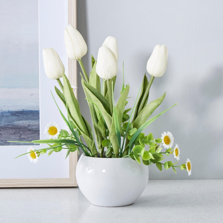 White Tulips